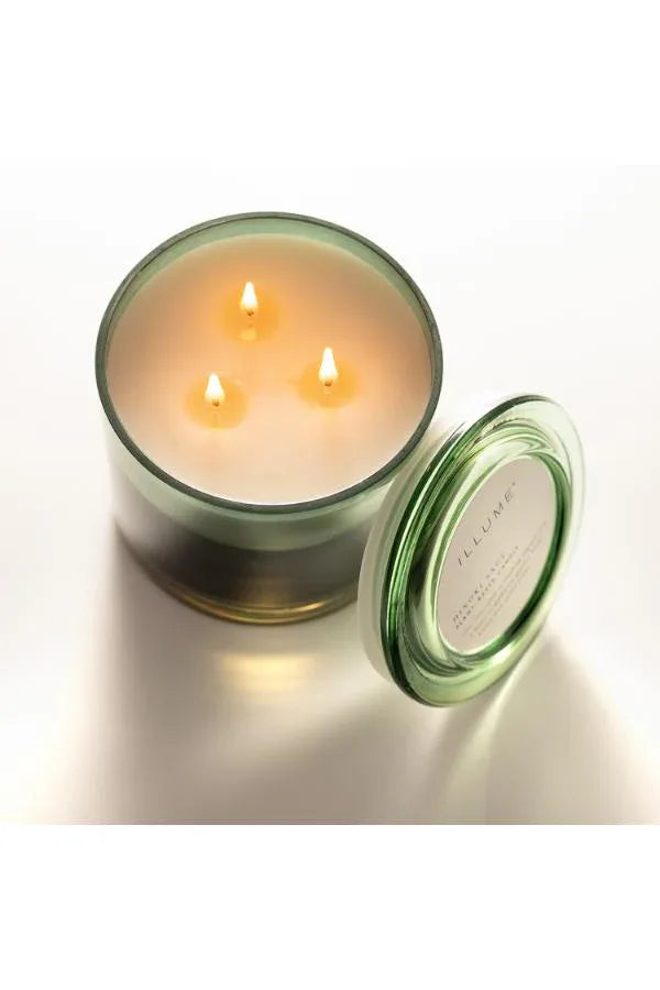 ILLUME Hinoki Salvia Statement Glas Doftljus ILLUME