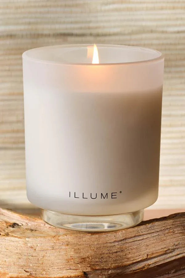 Driftwood Glas Doftljus ILLUME